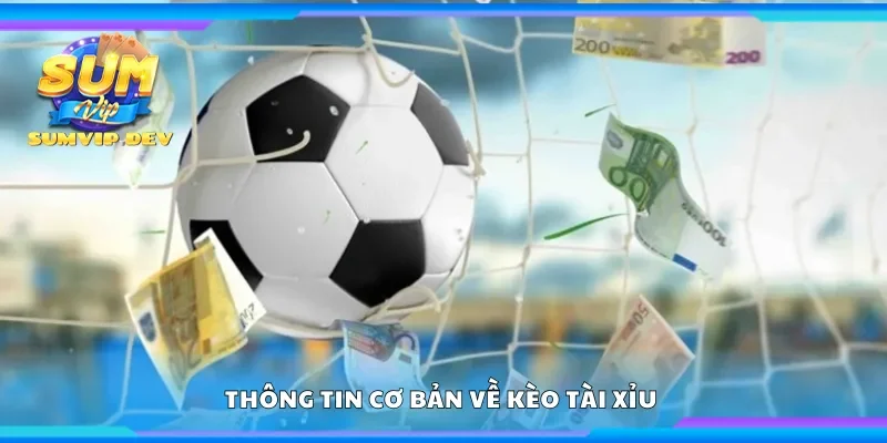 Thông tin cơ bản về kèo tài xỉu